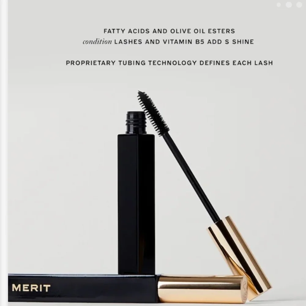 Merit meet your